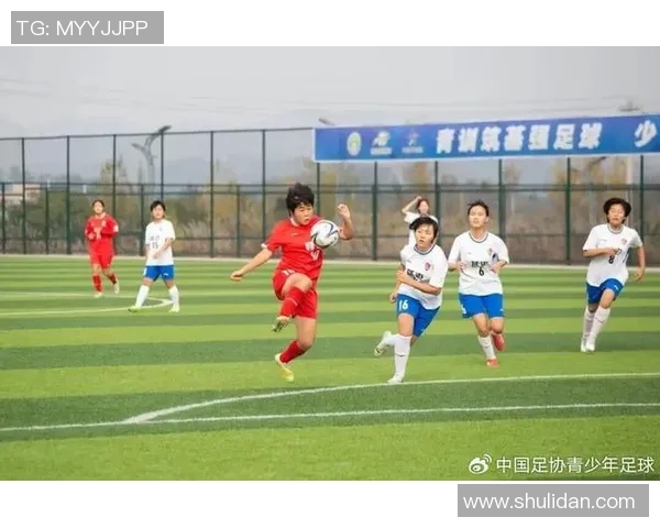 淄川足球少年明星名单揭晓展现新一代足球希望之星